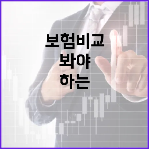 여행자보험비교 제대로 하는 방법, 보험료보다 먼저 봐야 할 기준 - 요약
