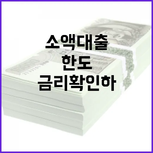 소액대출 받기 전에 한도와 금리 확인하는 방법 - 요약