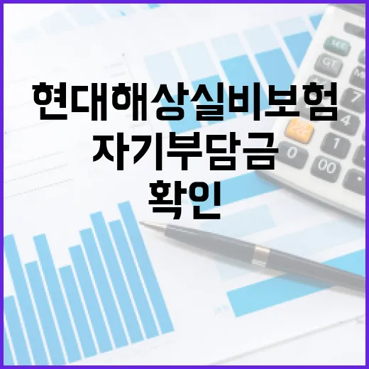 현대해상실비보험 제대로 고르는 방법, 보장과 자기부담금부터 확인하기 - 요약