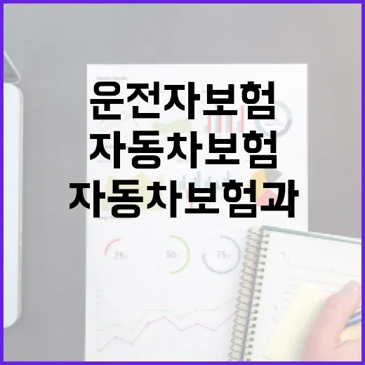 운전자보험 고르는 방법, 자동차보험과 겹치지 않게 보는 기준 - 요약