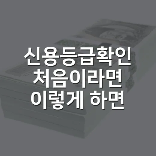 신용등급확인 처음이라면 이렇게 하면 됩니다 - 요약