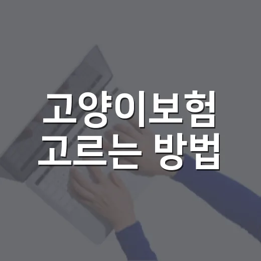 고양이보험 고르는 방법, 보험료보다 먼저 봐야 할 기준 - 요약