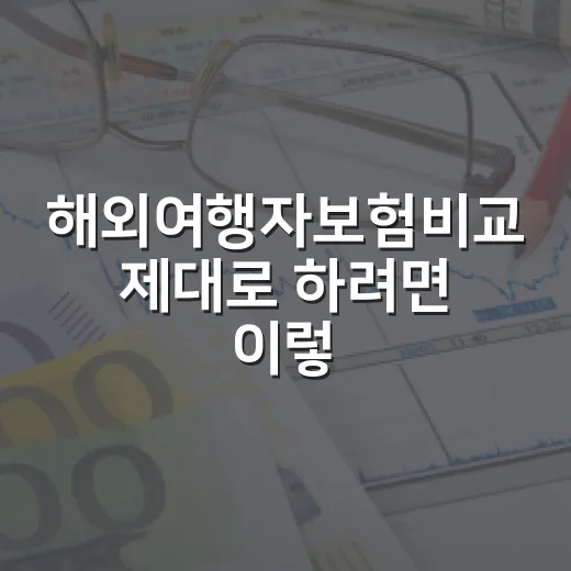 해외여행자보험비교 제대로 하려면 이렇게 고르세요 - 요약