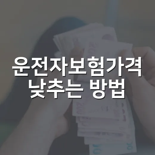 운전자보험가격 낮추는 방법, 초보자가 먼저 확인할 것들 - 요약