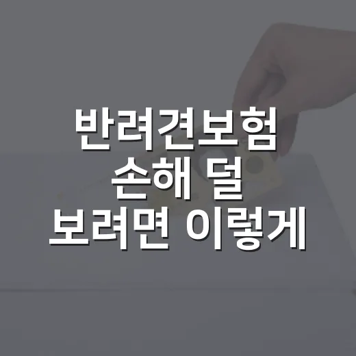 반려견보험 손해 덜 보려면 이렇게 비교하는 방법 - 요약