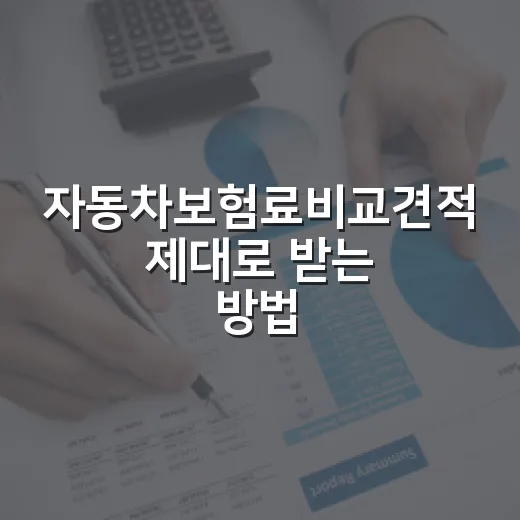 자동차보험료비교견적 제대로 받는 방법, 갱신 전 이렇게 확인하세요 - 요약