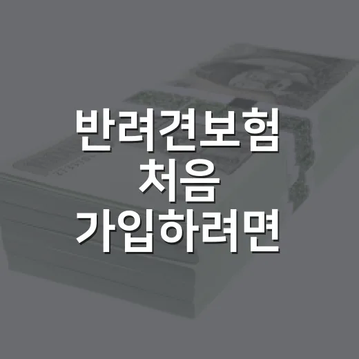 반려견보험 처음 가입하려면 이렇게 비교하면 됩니다 - 요약