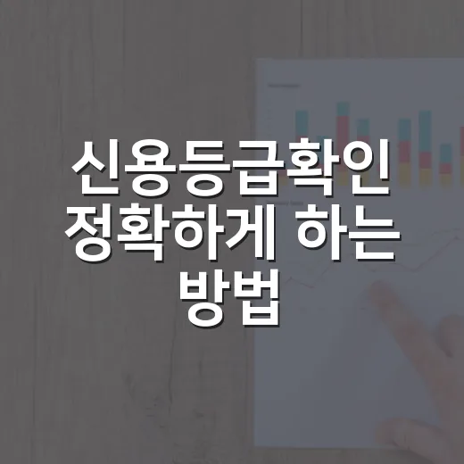 신용등급확인 정확하게 하는 방법, 점수부터 해석까지 초보자용 - 요약