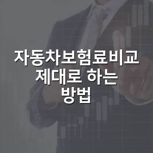 자동차보험료비교 제대로 하는 방법, 싸게 보이게 만드는 조건부터 확인하기 - 요약