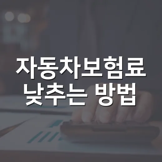 자동차보험료 낮추는 방법, 갱신 전에 꼭 확인할 항목 - 요약
