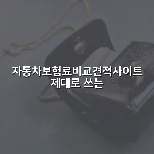 자동차보험료비교견적사이트 제대로 쓰는 방법, 보험료 차이 줄이는 체크 순서 - 요약