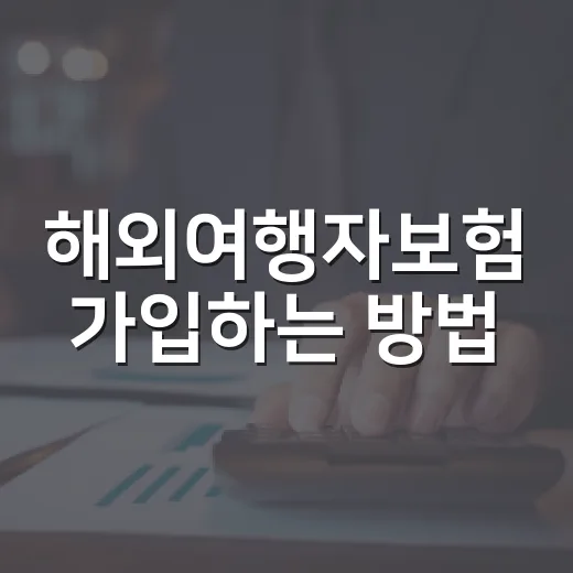 해외여행자보험 가입하는 방법, 초보자가 놓치기 쉬운 보장까지 챙기려면 이렇게 - 요약