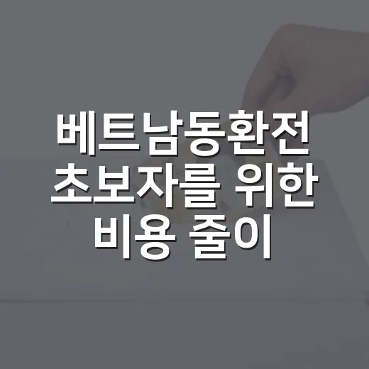 베트남동환전 초보자를 위한 비용 줄이는 방법 - 요약