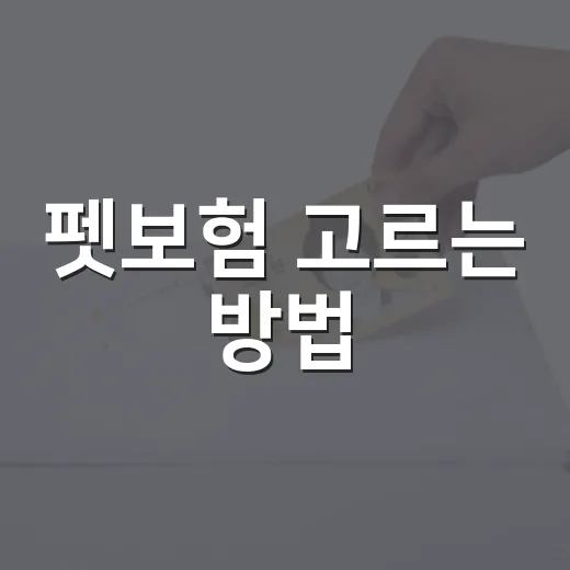 펫보험 고르는 방법, 보험료보다 먼저 봐야 할 6가지 - 요약