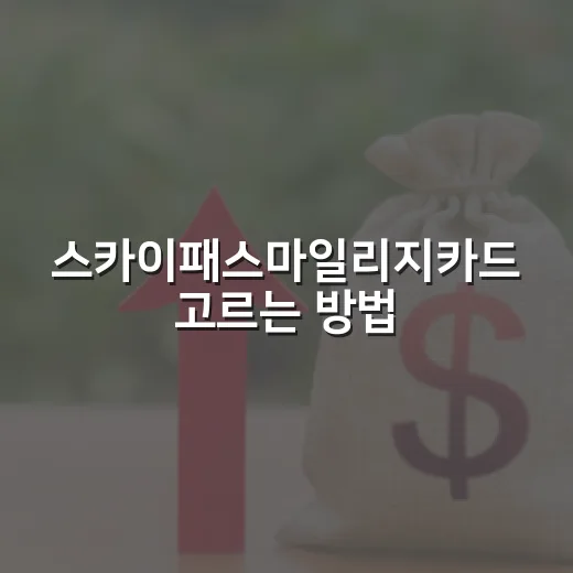 스카이패스마일리지카드 고르는 방법, 연회비보다 먼저 볼 기준 - 요약