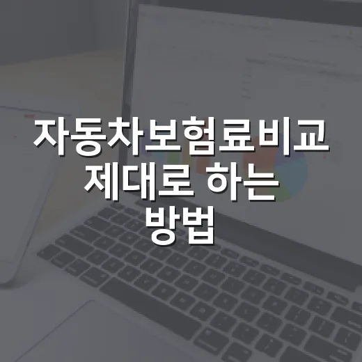 자동차보험료비교 제대로 하는 방법, 갱신 전에 이렇게 확인하세요 - 요약