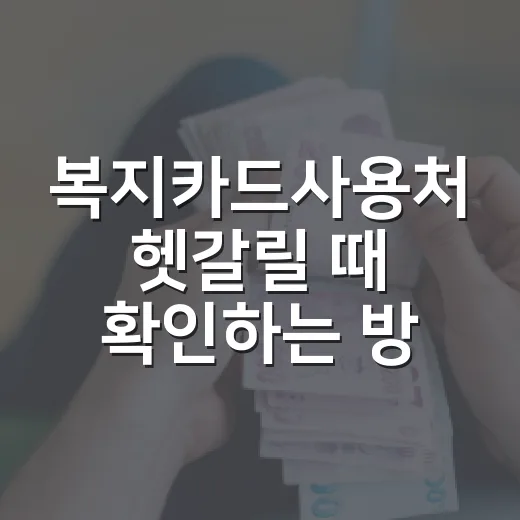 복지카드사용처 헷갈릴 때 확인하는 방법: 교통·문화·생활비 혜택 구분하기 - 요약