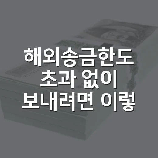 해외송금한도 초과 없이 보내려면 이렇게 확인하세요 - 요약