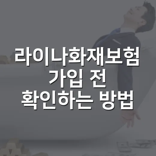 라이나화재보험 가입 전 확인하는 방법: 라이나손보와 라이나생명 헷갈리지 않기 - 요약