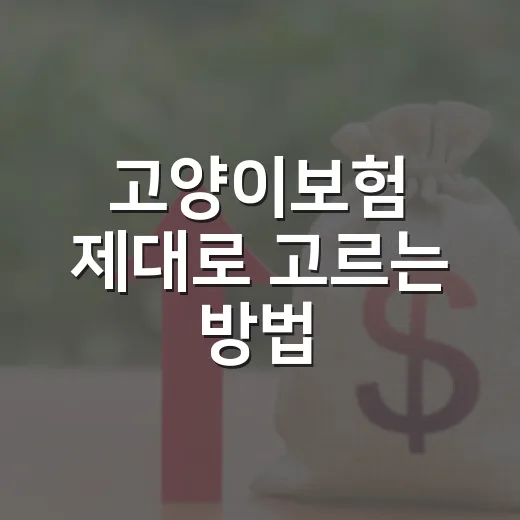 고양이보험 제대로 고르는 방법, 병원비 계산부터 약관 확인까지 - 요약