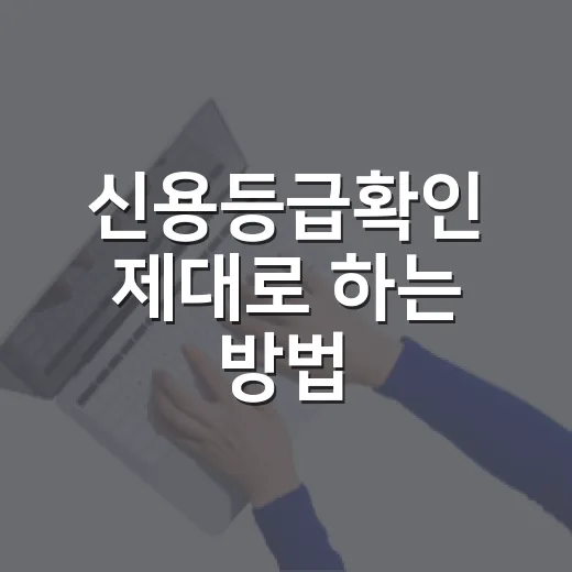 신용등급확인 제대로 하는 방법, 점수부터 관리 포인트까지 - 요약