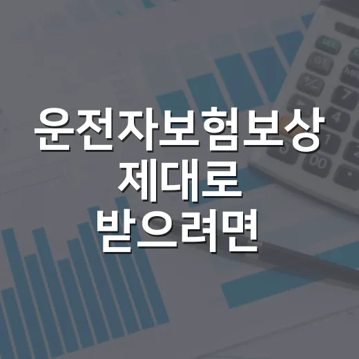 운전자보험보상 제대로 받으려면 이렇게 확인하는 방법 - 요약