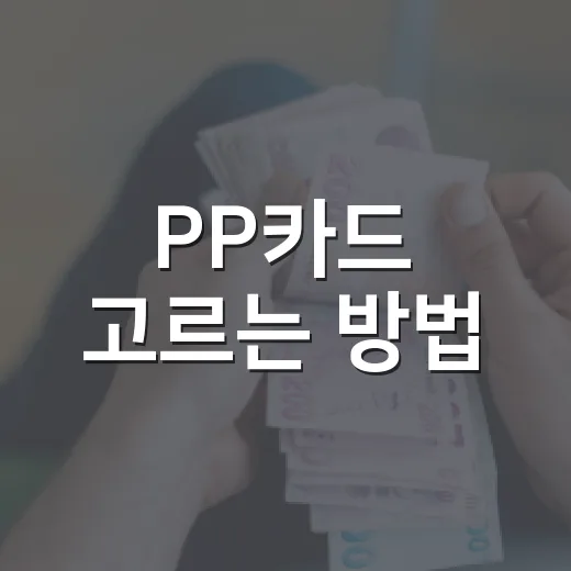 PP카드 고르는 방법: 공항라운지 혜택을 연회비로 계산하려면 이렇게 - 요약
