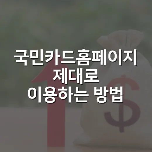 국민카드홈페이지 제대로 이용하는 방법: 신청 전 확인할 것들 - 요약