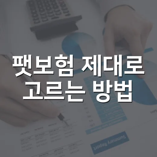 팻보험 제대로 고르는 방법, 보험료보다 먼저 봐야 할 5가지 - 요약