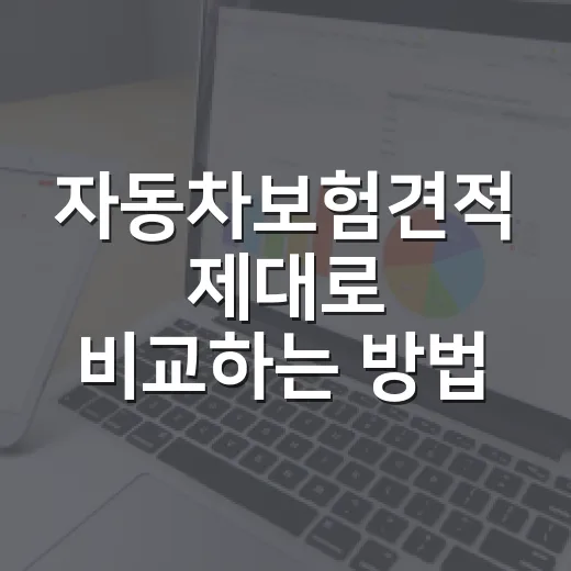 자동차보험견적 제대로 비교하는 방법, 보험료 아끼려면 이렇게 보세요 - 요약