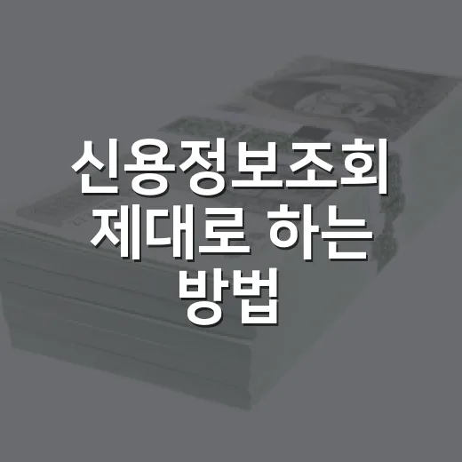 신용정보조회 제대로 하는 방법, 점수 깎이지 않게 확인하려면 이렇게 - 요약