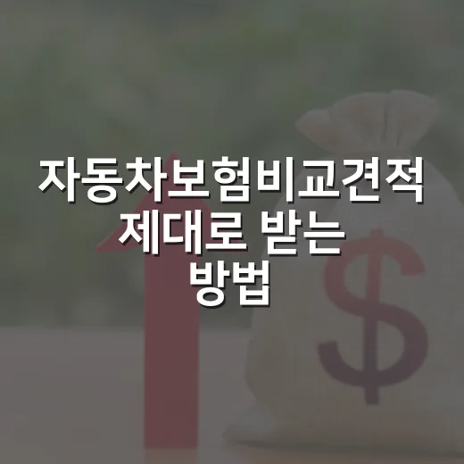 자동차보험비교견적 제대로 받는 방법, 갱신 전에 보험료 낮추려면 이렇게 - 요약