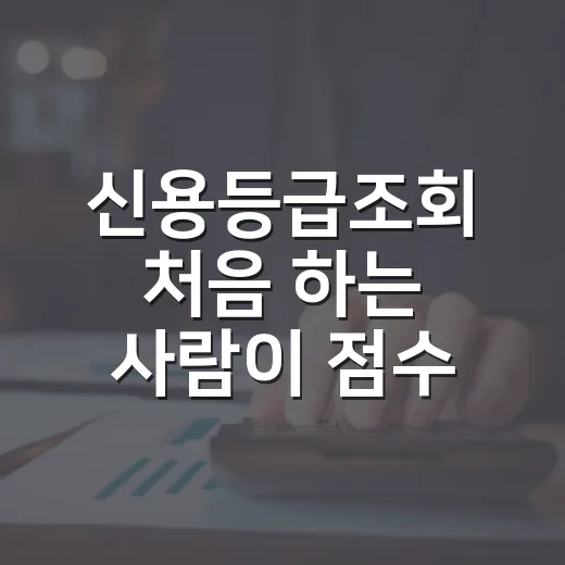 신용등급조회 처음 하는 사람이 점수 확인하고 관리하는 방법 - 요약