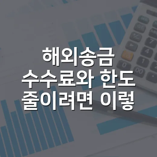 해외송금 수수료와 한도 줄이려면 이렇게 확인하는 방법 - 요약