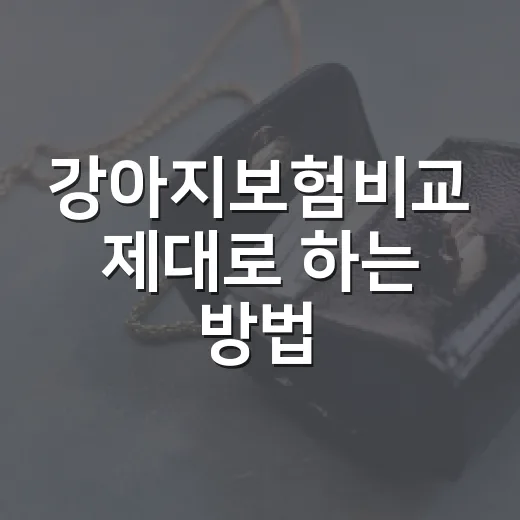 강아지보험비교 제대로 하는 방법, 보험료보다 먼저 볼 5가지 - 요약