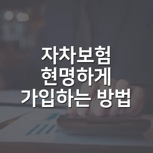 자차보험 현명하게 가입하는 방법: 자기부담금과 할증 기준까지 계산하는 법 - 요약