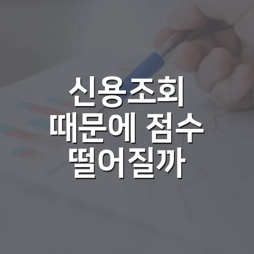 신용조회 때문에 점수 떨어질까 걱정될 때 확인하는 방법 - 요약