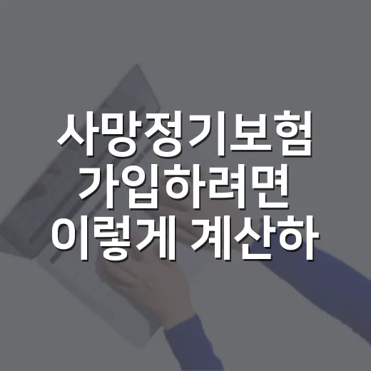 사망정기보험 가입하려면 이렇게 계산하고 비교하세요 - 요약