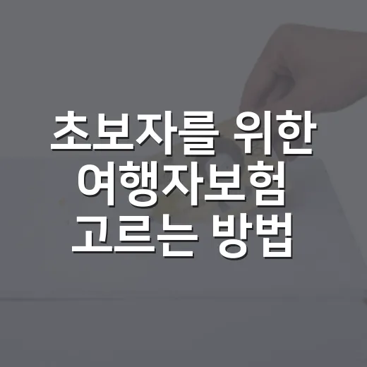 초보자를 위한 여행자보험 고르는 방법, 보장보다 먼저 볼 것들 - 요약