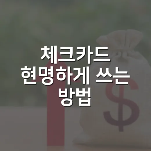 체크카드 현명하게 쓰는 방법: 소득공제부터 소비관리까지 초보자도 이렇게 - 요약
