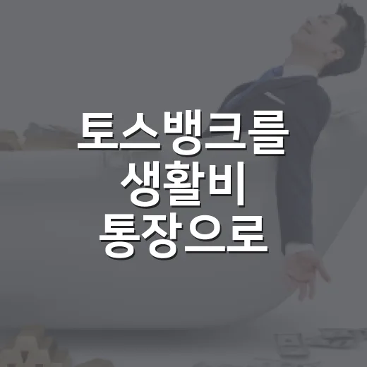토스뱅크를 생활비 통장으로 쓰려면 이렇게 나누면 됩니다 - 요약