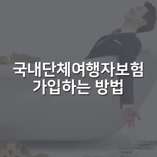국내단체여행자보험 가입하는 방법, 인원·일정·보장금액은 이렇게 맞추면 됩니다 - 요약