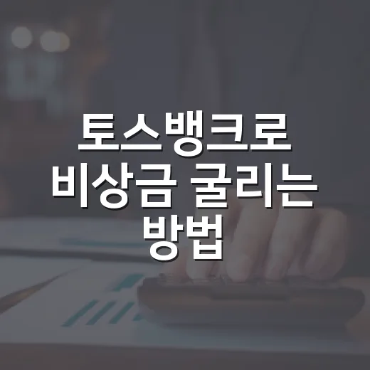 토스뱅크로 비상금 굴리는 방법, 통장·정기예금·외화통장 선택 기준 - 요약