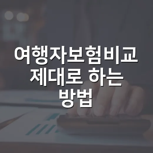 여행자보험비교 제대로 하는 방법, 보험료보다 먼저 볼 항목 - 요약