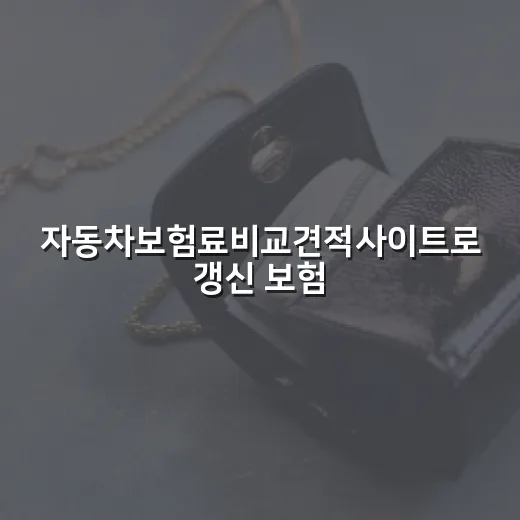 자동차보험료비교견적사이트로 갱신 보험료 낮추는 방법 - 요약