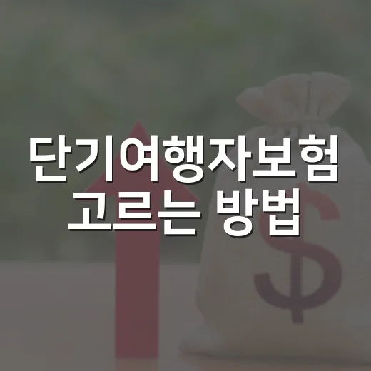 단기여행자보험 고르는 방법: 3일 여행도 빠뜨리면 아쉬운 보장 기준 - 요약