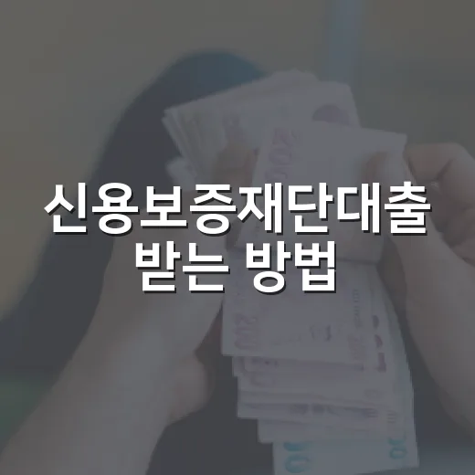 신용보증재단대출 받는 방법: 한도와 보증료부터 신청 순서까지 - 요약