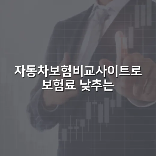 자동차보험비교사이트로 보험료 낮추는 방법, 견적 볼 때 놓치기 쉬운 기준 - 요약