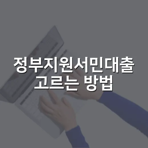 정부지원서민대출 고르는 방법, 햇살론부터 새희망홀씨까지 이렇게 비교하세요 - 요약