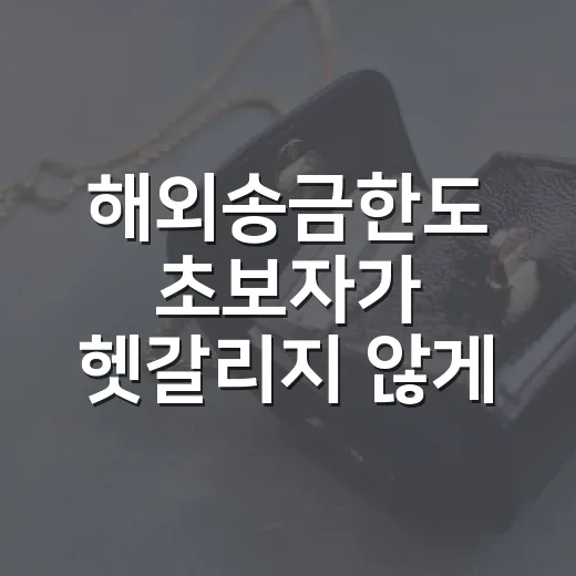 해외송금한도 초보자가 헷갈리지 않게 관리하는 방법 - 요약